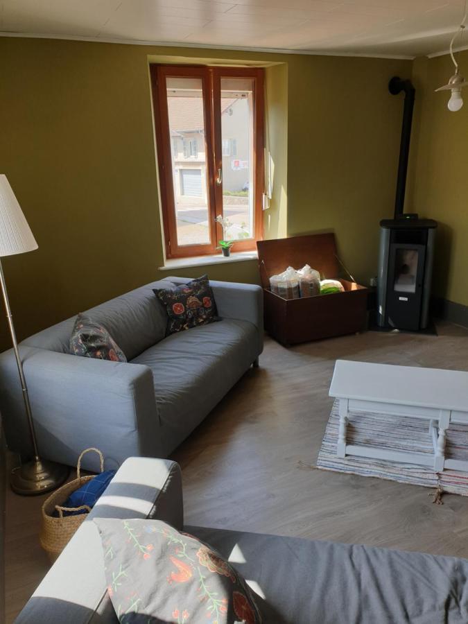 Au Pied Du Gazon Apartment แซงต์-มอริซ-ซูร์-โมแซล ภายนอก รูปภาพ