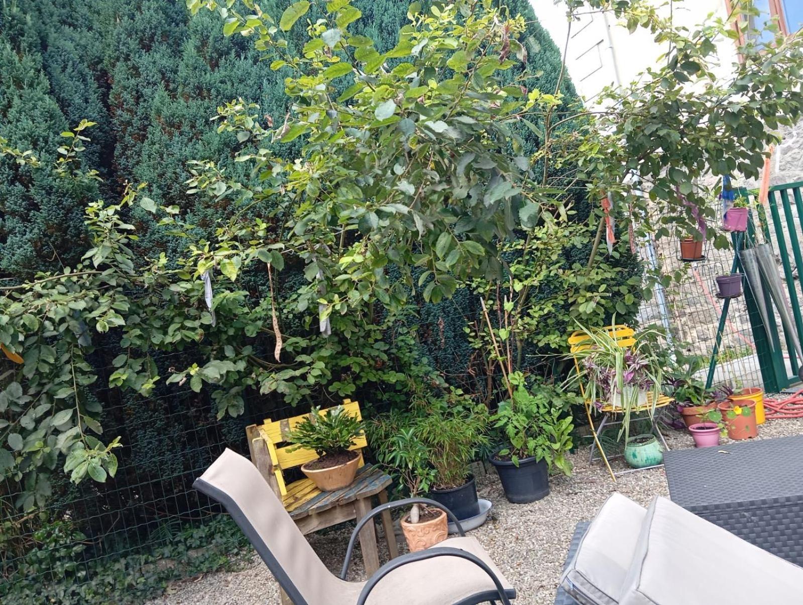 Au Pied Du Gazon Apartment แซงต์-มอริซ-ซูร์-โมแซล ภายนอก รูปภาพ